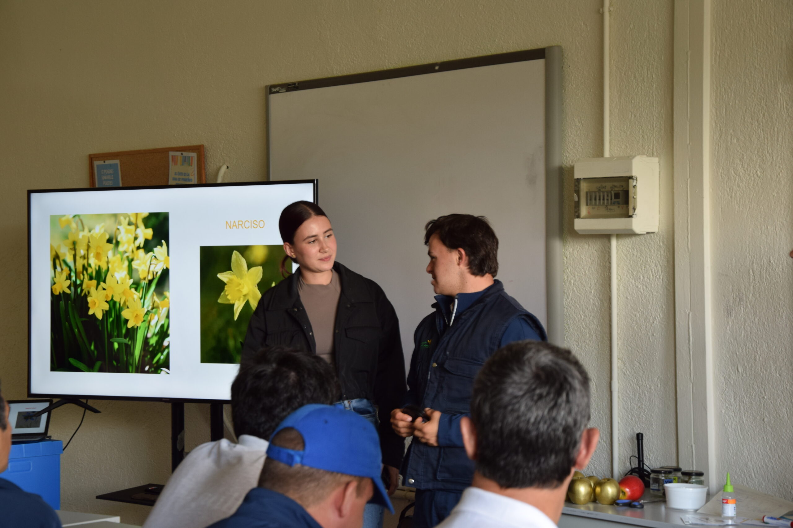 actividad la veguilla